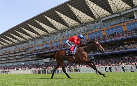 how to bet on horses at ascot